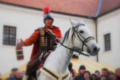Svatomartinská a mladá vína na zámku
