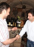 TRAMIN CUP 2009-report