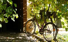 V Čejkovicích se otevřel nový úsek vinařské cyklotrasy