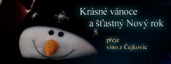 PF 2013