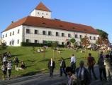 Pozvánka na XVI. Vinné trhy Čejkovice
