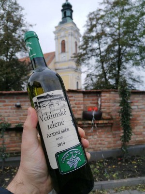 Rozhovor s Lukášem Hlineckým
