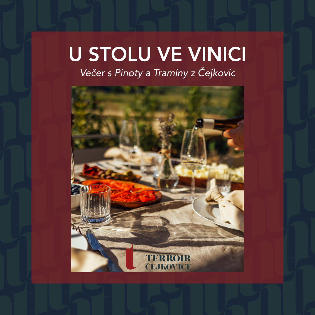 U stolu ve vinici